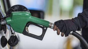 Benzine Zam Geliyor