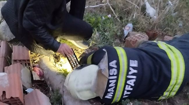 Manisa'da Beton Elektrik Direği İçinde Sıkışan Köpek Kurtarıldı